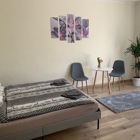 Világos, kellemes lakás, jó közlekedéssel Budapest Extérieur photo