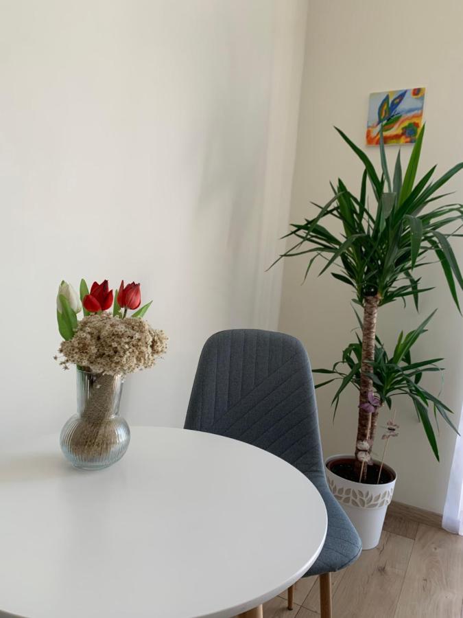 Világos, kellemes lakás, jó közlekedéssel Budapest Extérieur photo
